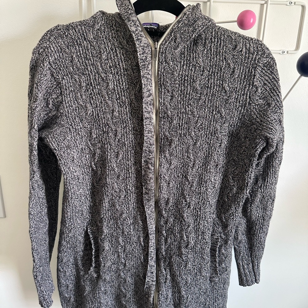 Patagonia hooded sweater